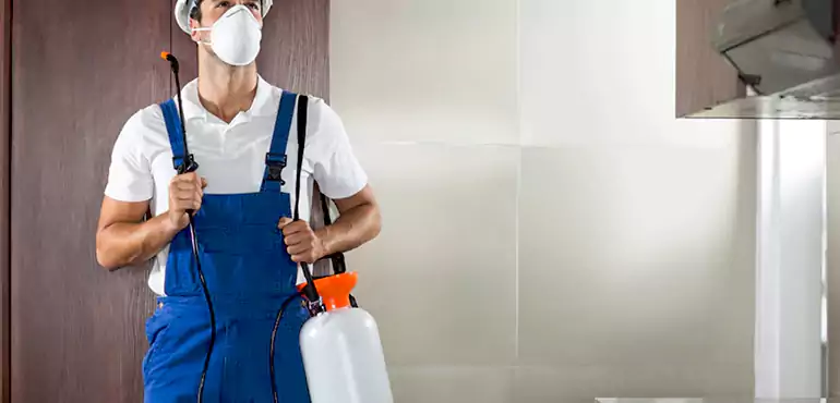 Why Vermont Homeowners Choose Us When Pests Make Selling Difficult