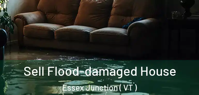  Sell Flood-damaged House Essex Junction ( VT )