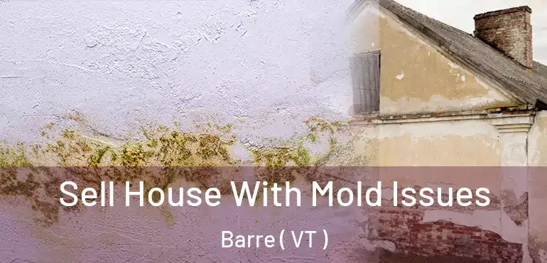  Sell House With Mold Issues Barre ( VT )