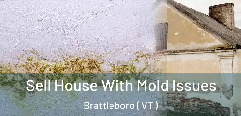  Sell House With Mold Issues Brattleboro ( VT )