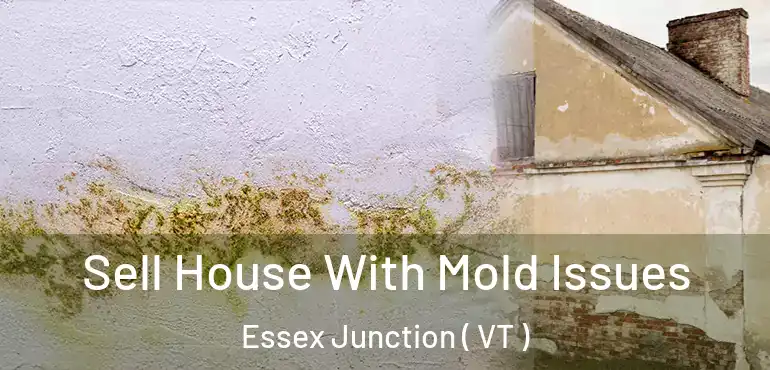  Sell House With Mold Issues Essex Junction ( VT )