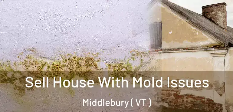  Sell House With Mold Issues Middlebury ( VT )