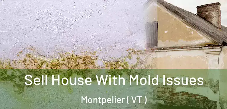  Sell House With Mold Issues Montpelier ( VT )