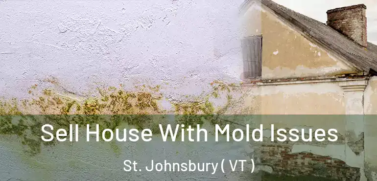  Sell House With Mold Issues St. Johnsbury ( VT )