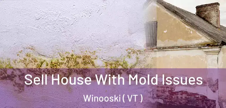  Sell House With Mold Issues Winooski ( VT )