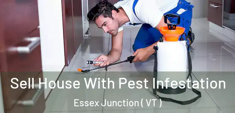  Sell House With Pest Infestation Essex Junction ( VT )
