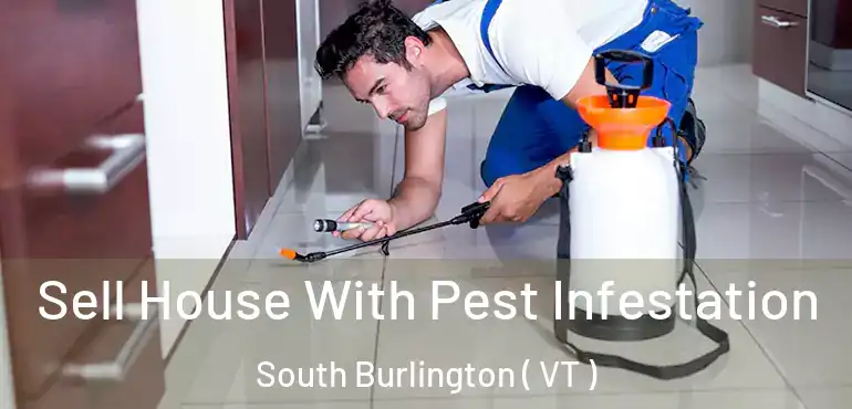 Sell House With Pest Infestation South Burlington ( VT )